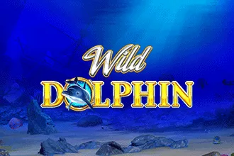 Wild Dolphin