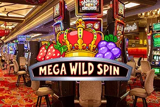 Mega Wild Spin