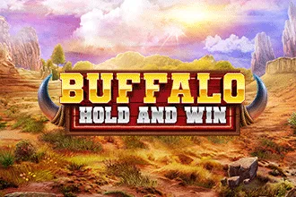 Buffalo Hold and Win