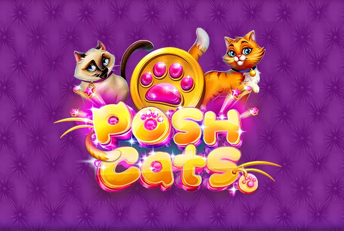 Posh Cats