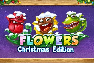 Flowers Christmas Edition