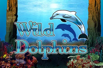 Wild Dolphins
