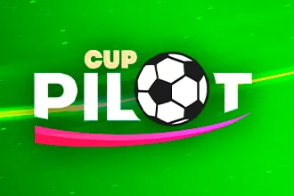 Pilot Cup