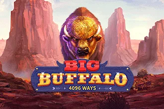 Big Buffalo