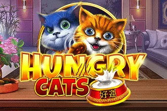 Hungry Cats