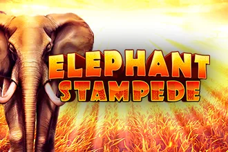 Elephant Stampede