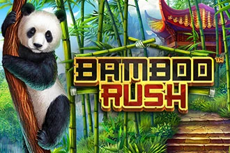 Bamboo Rush  