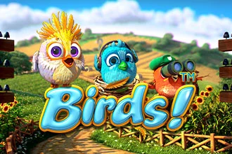 Birds 