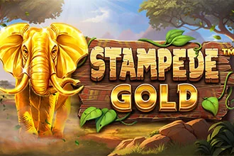 Stampede Gold 