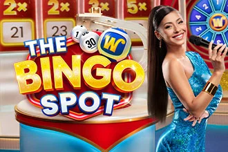 The Bingo Spot