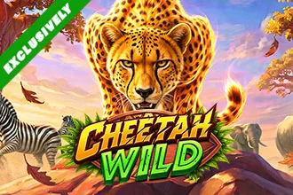 Cheetah Wild