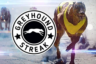Greyhound Streak