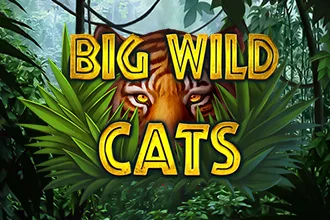 Big Wild Cats
