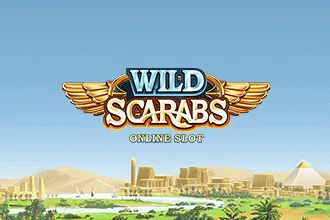 Wild Scarabs